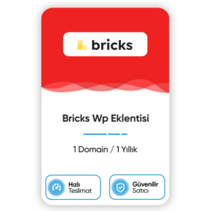 bricks wp eklentisi 1 domain 1 yillik