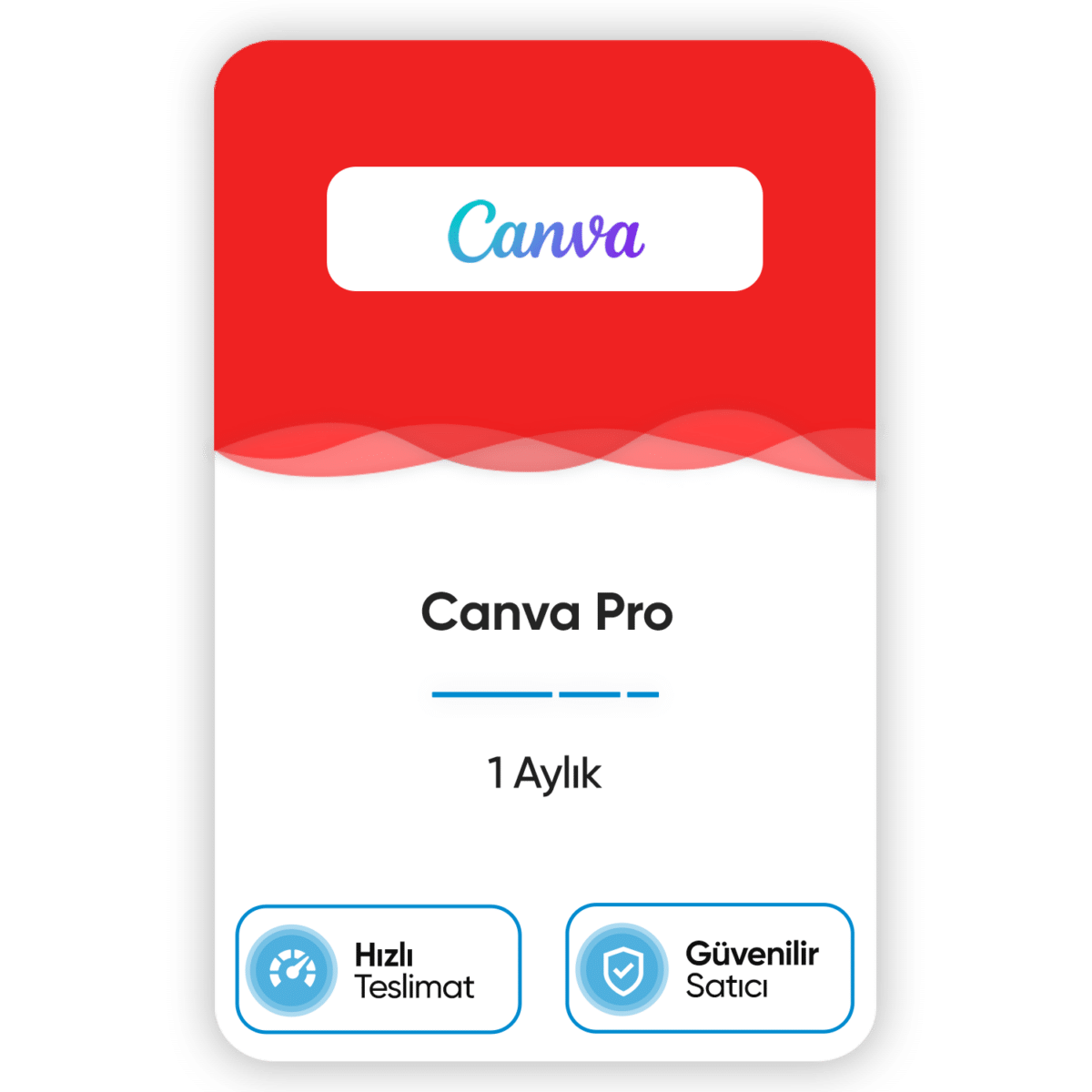 canva pro 1 aylik