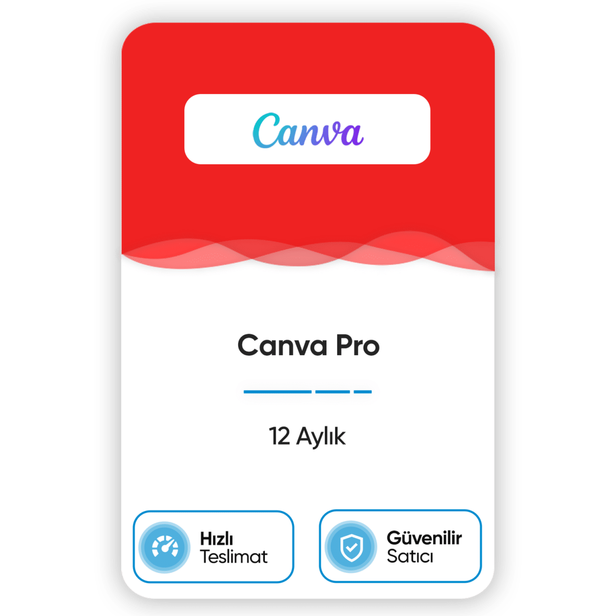 canva pro 12 aylik