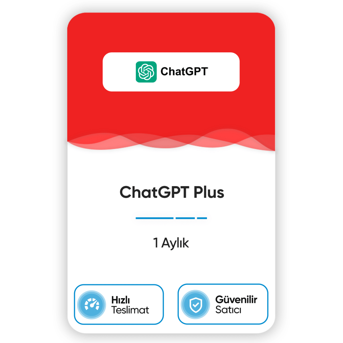 chatgpt plus 1 aylik