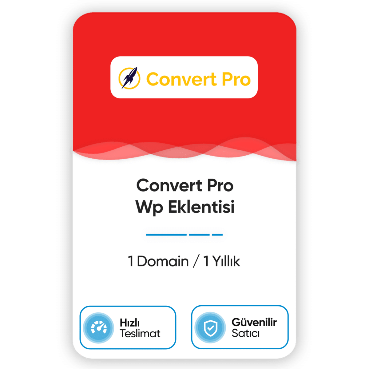 convert pro wp eklentisi 1 domain 1 yillik