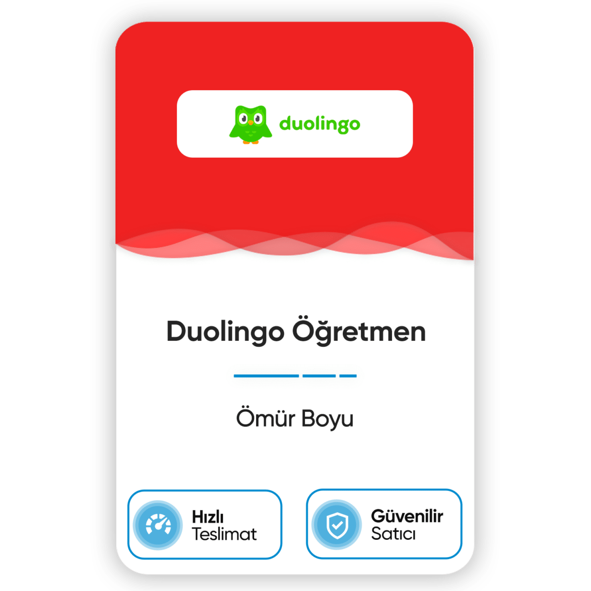 duolingo ogretmen omur boyu