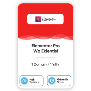 elementor pro wp eklentisi 1 domain 1 yillik