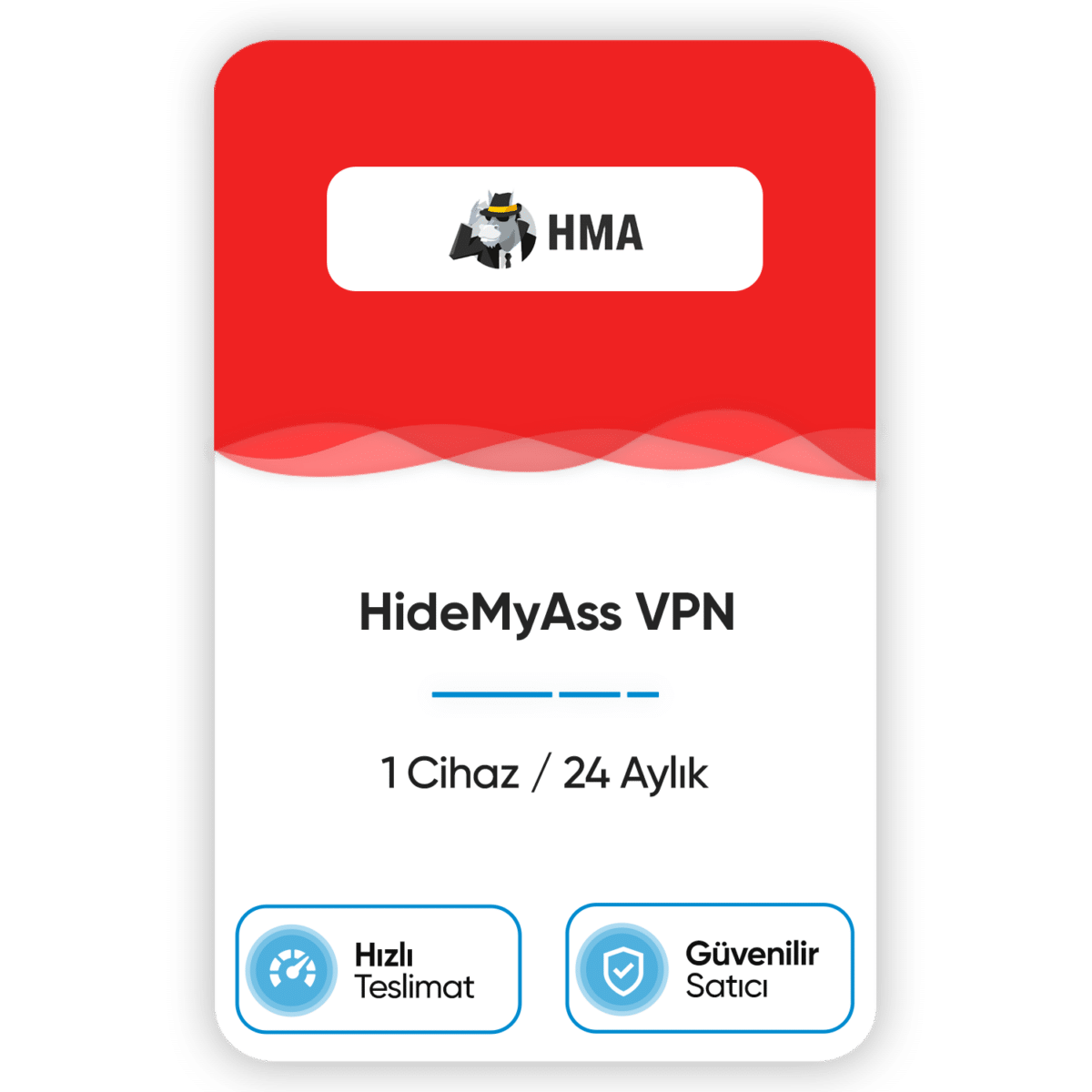 hidemyass vpn 1 cihaz 24 aylik