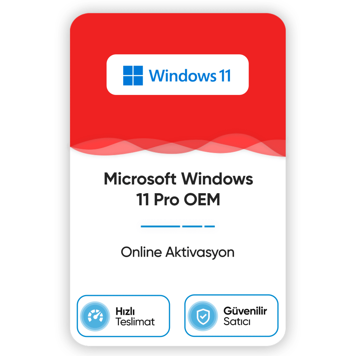 microsoft windows 11 pro oem online aktivasyon