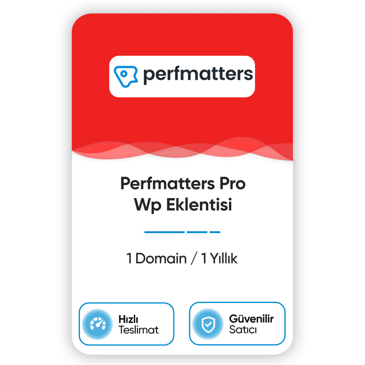 perfmatters pro wp eklentisi 1 domain 1 yillik